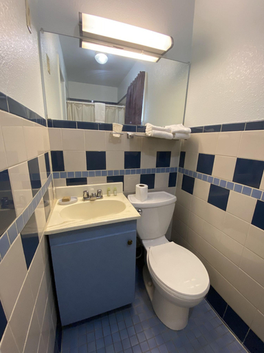 Bathroom 3, Regency Inn Comanche, Comanche
