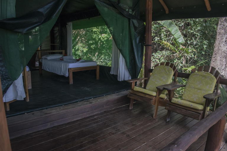 Bedroom 3, La Leona Lodge, Golfito