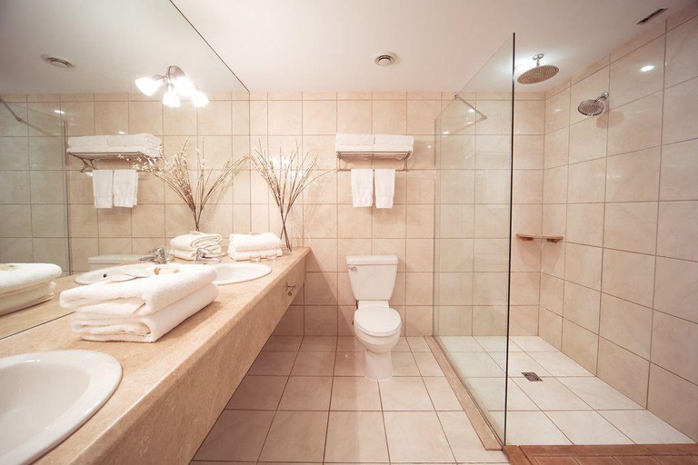 Bathroom 5, The Franklin Hotel, Division No. 1