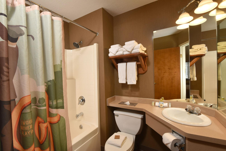 Bathroom 4, Stoney Creek Hotel Conference Center La Crosse, La Crosse