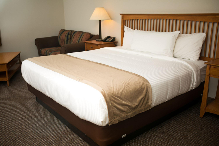Bedroom 3, White Pine Adventure Inn, Sublette