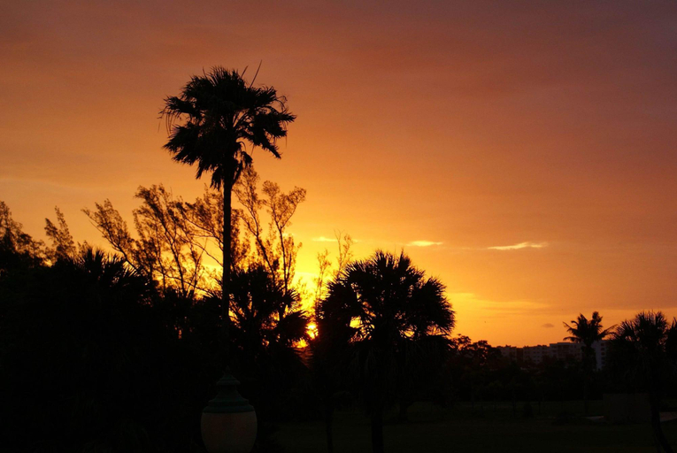 Exterior & Views 2, Sabal Palm House, Palm Beach