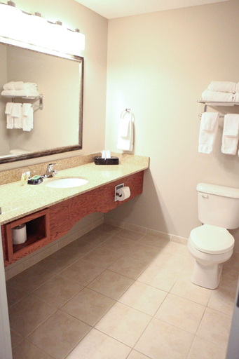 Bathroom 4, Crossings Inn & Suites by GrandStay, Otter Tail