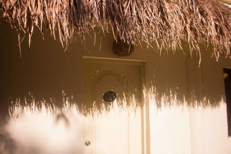 Bedroom 2, Nature Stay, Cozumel