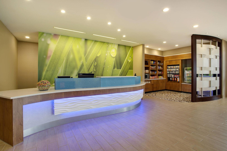 Public Area 2, Springhill Suites Murray, Calloway