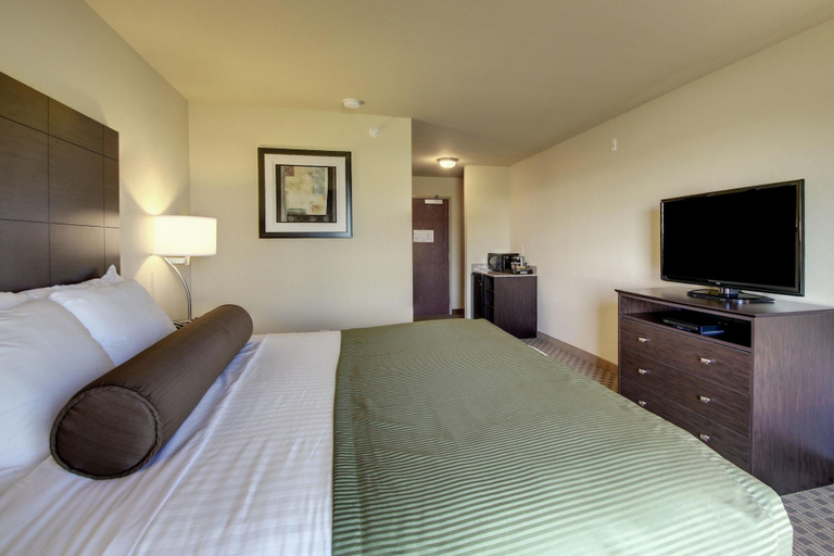 Others 5, Cobblestone Inn Suites Bloomfield, Davis