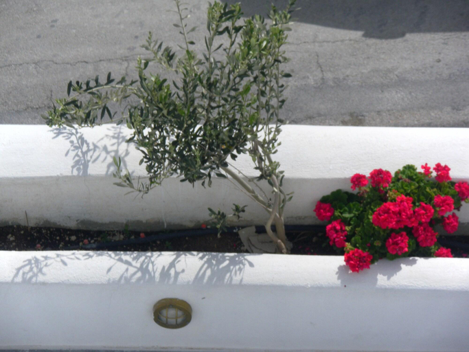 Exterior & Views 2, Summertime, South Aegean