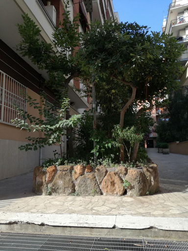 Exterior & Views 2, Testa Gioacchino B&B, Rome