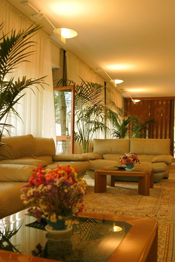 Public Area 4, hotel michelangelo, Siena