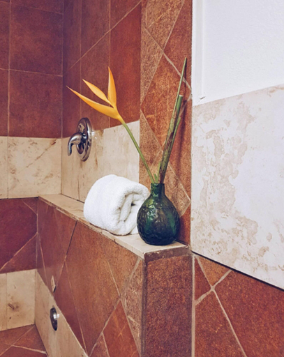 Bathroom 4, Caye Casa