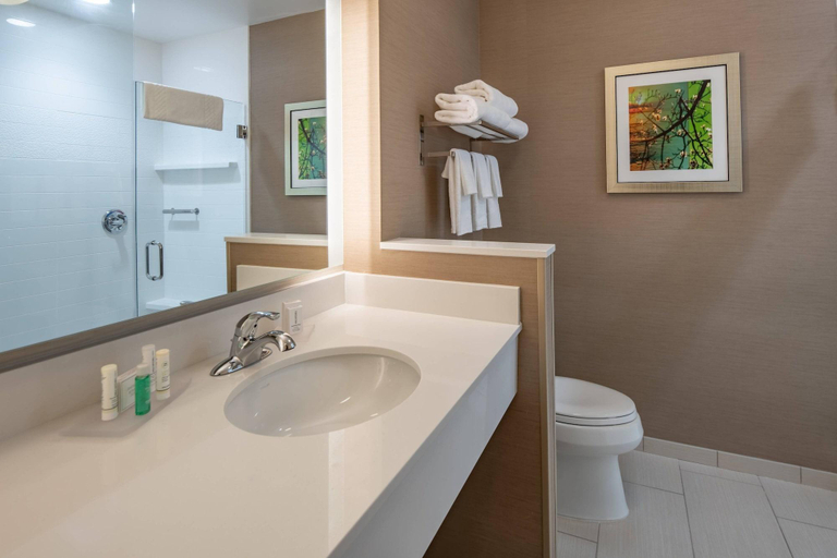 Bathroom 4, Fairfield Inn & Suites by Marriott Terrell, Kaufman