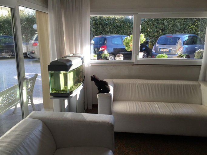 Public Area 2, Hotel Viking, Rimini