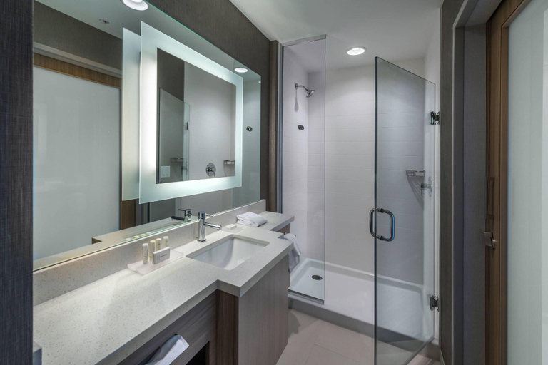 Bathroom 4, SpringHill Suites by Marriott Reno, Washoe