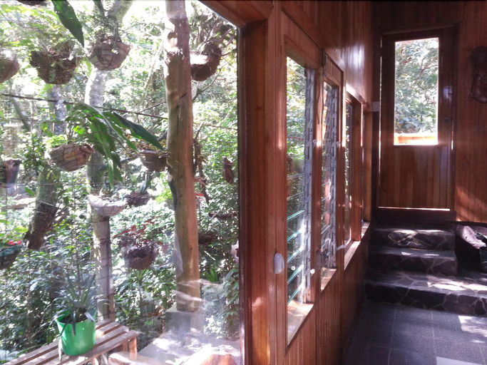 Public Area 3, Hotel Forest Dreams Manakin, Puntarenas