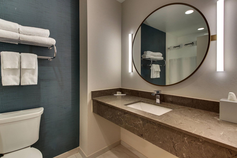 Bathroom 4, Fairfield Inn & Suites by Marriott Birmingham Downtown, Jefferson