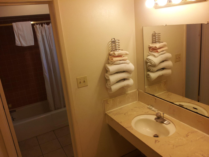 Bathroom 4, Grapevine Inn, San Joaquin