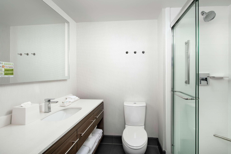 Bathroom 4, Home2 Suites By Hilton Nashville Downtown, Davidson