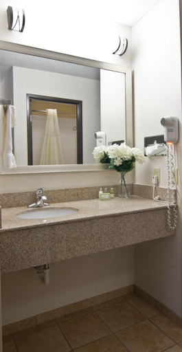 Bathroom 4, Christopher Inn And Suites, Ross