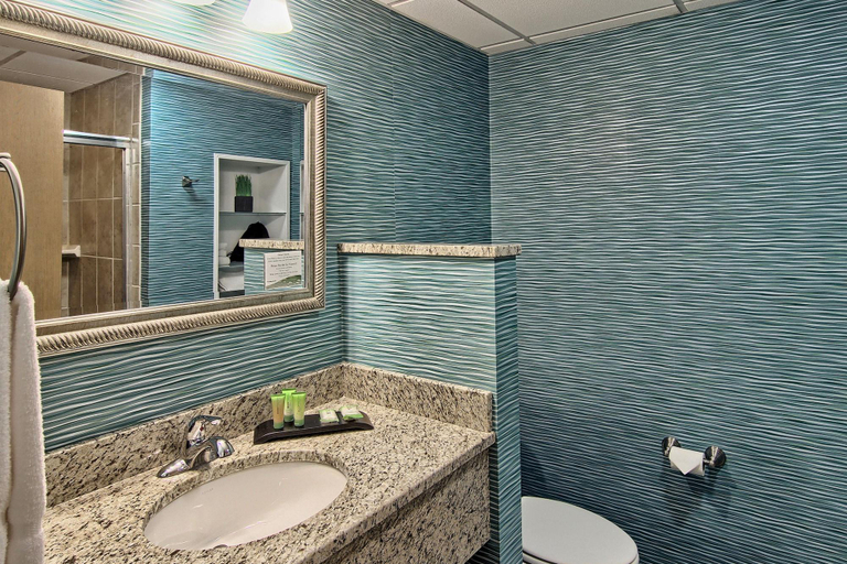 Bathroom 4, Grand Beach Resort Hotel, Grand Traverse
