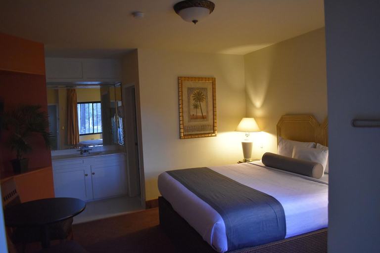 Bedroom 3, FRONTIERE, Tijuana