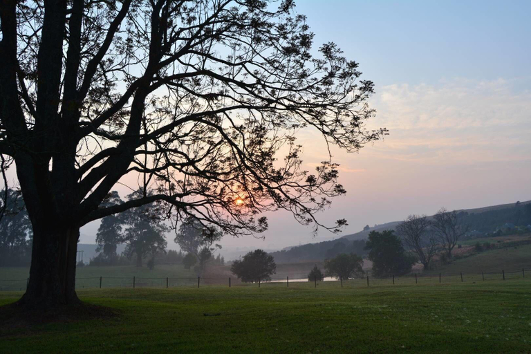 Exterior & Views, Old Halliwell Country Inn, Umgungundlovu