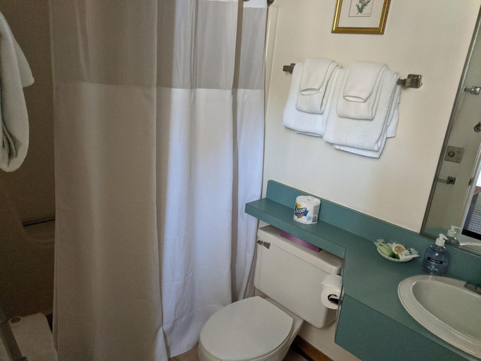 Bathroom 4, Stowe Motel & Snowdrift, Lamoille
