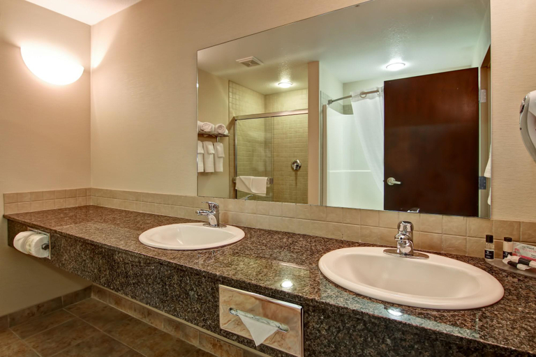 Bathroom 5, Canalta Camrose, Division No. 10