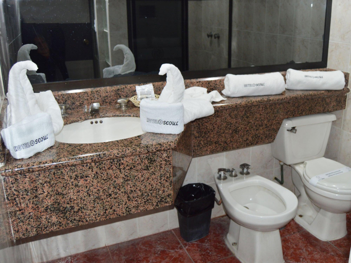 Bathroom 4, Hotel Seoul, Mexico City