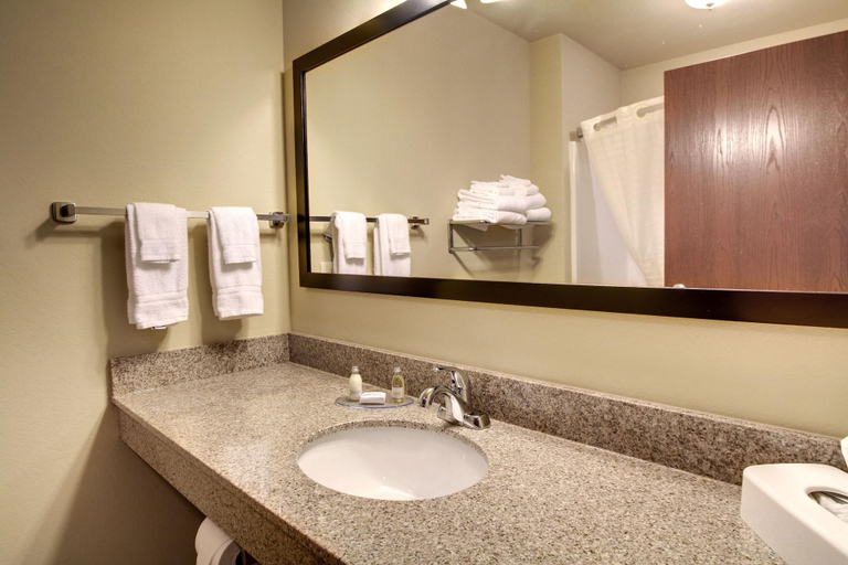 Bathroom 4, Cobblestone Inn Suites Bloomfield, Davis