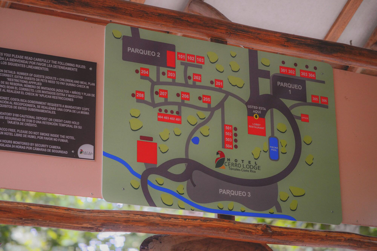 Public Area 2, Hotel Cerro Lodge, Garabito
