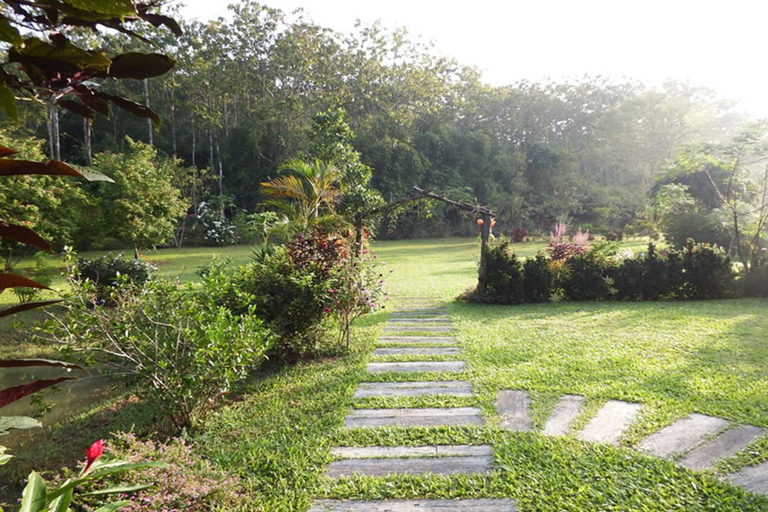 Public Area 2, Noks Garden Resort, Muang Chiang Rai