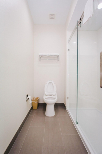 Bathroom 4, Palace Inn- Louetta, Houston