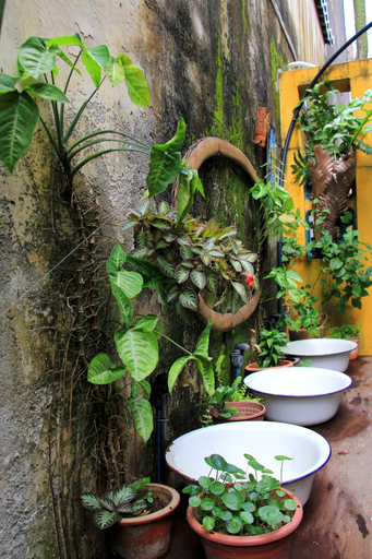 Public Area 2, MoonTree47, Penang Island