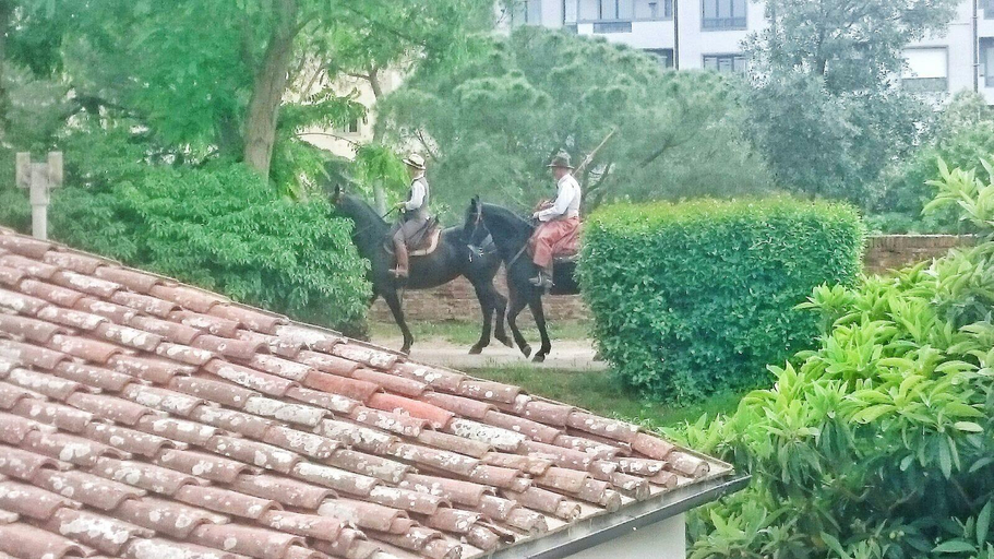 Others 5, B&B Pierilu', Grosseto