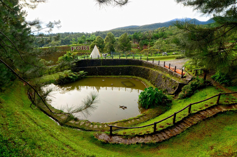 Exterior & Views 2, Dahilayan Forest Park Resort, Libona