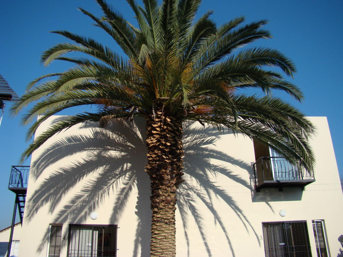 Exterior & Views 2, Louhallas Bed & Breakfast, Ekurhuleni