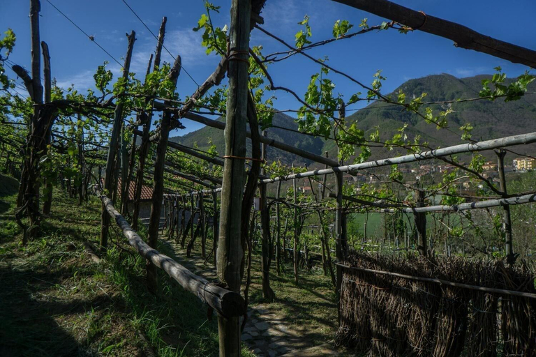 Exterior & Views 2, Il Tintore, Salerno