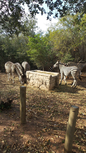 Exterior & Views 2, Beyond The Boma Boutique Guest, Ehlanzeni