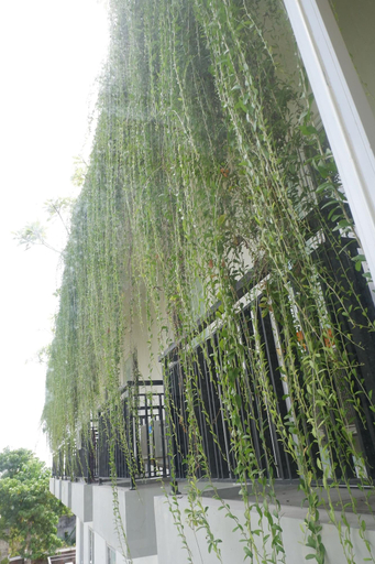 Exterior & Views 2, G7 Residence, Badung
