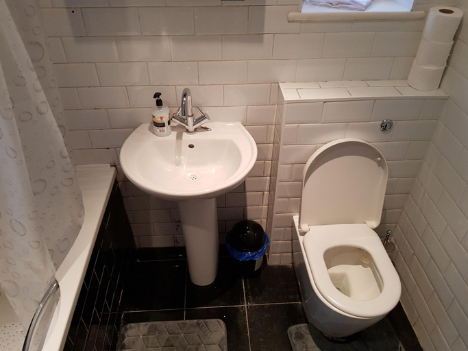 Bathroom 4, The 22, London