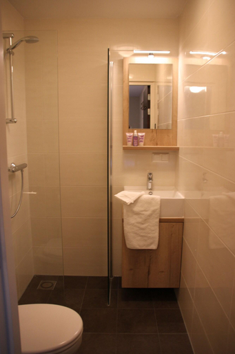 Bathroom 4, Bed And Breakfast De Volkelse Hooiberg, Uden