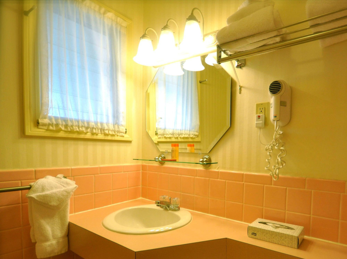 Bathroom 5, The Naswa Resort, Belknap