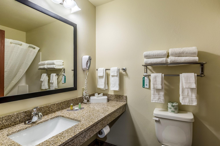 Bathroom 4, Cobblestone Inn Suites Merrill, Lincoln