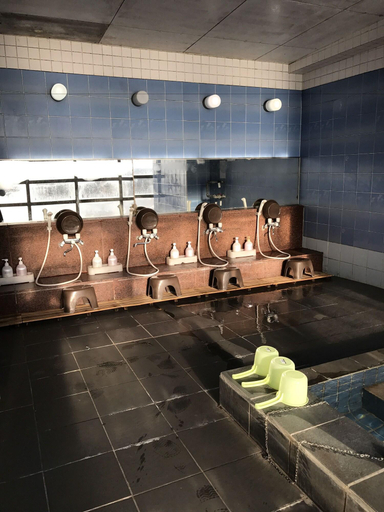 Public Area 3, New Makomo Hotel, Itako