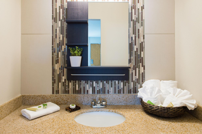 Bathroom 3, Inn at Temescal, Alameda