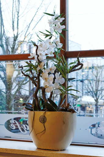 Food & Drinks 5, Hotel Phønix Brønderslev, Brønderslev