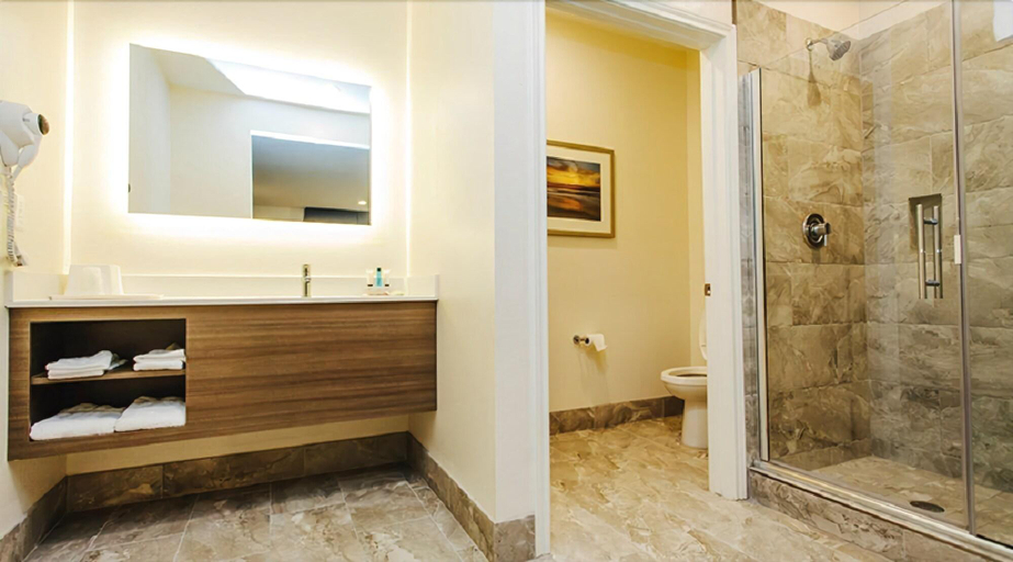 Bathroom 3, Palace Inn City Center, Houston