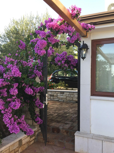 Exterior & Views 2, Vera Bed and Breakfast, Umag