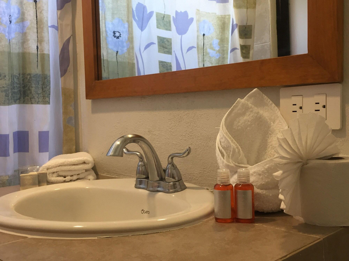 Bathroom, Hotel RV Park San Ramon, Allende
