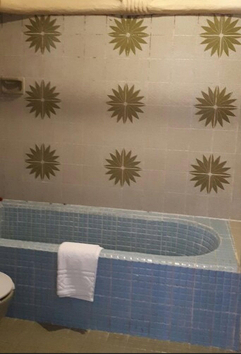 Bathroom 4, Hotel Animas 16, Allende